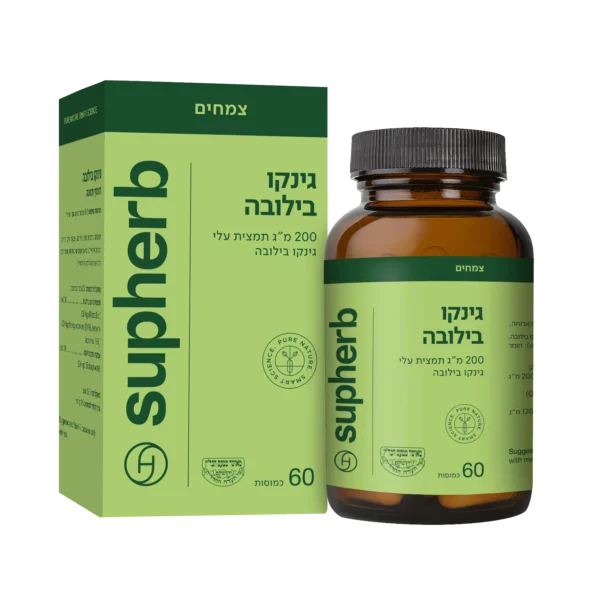  גינקו בילובה