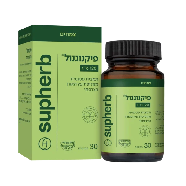 פיקנוגנול 120 מ”ג